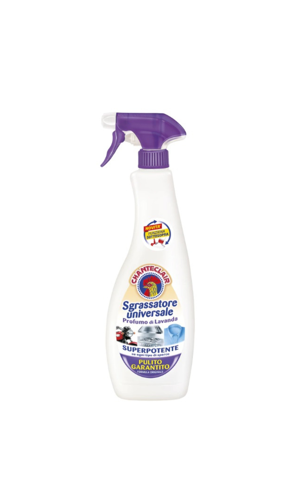 Degresant Spray CHANTECLAIR 600ml