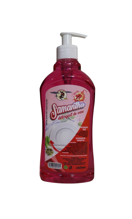 Detergent de vase cu RODIE cu pompiță 600ml