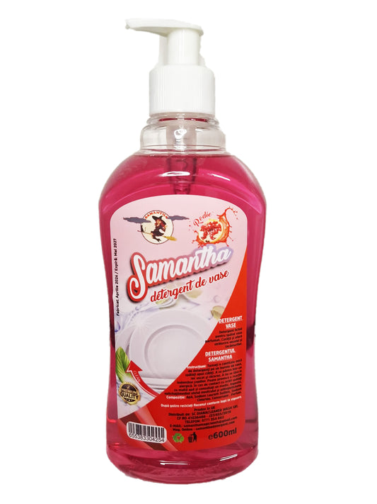 Detergent de vase cu RODIE cu pompiță 600ml