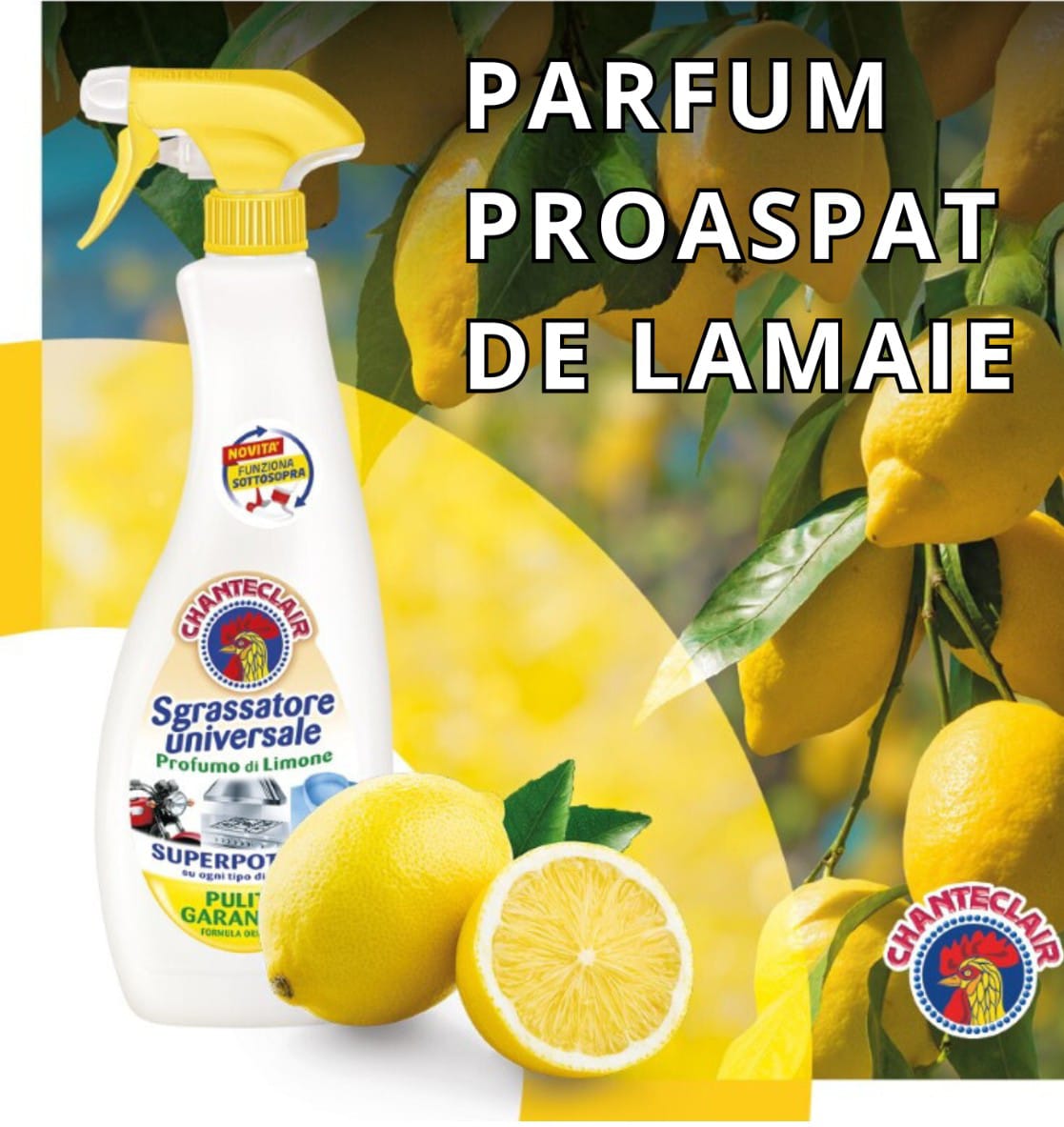 Degresant CHANTECLAIR 600-625ml Spray