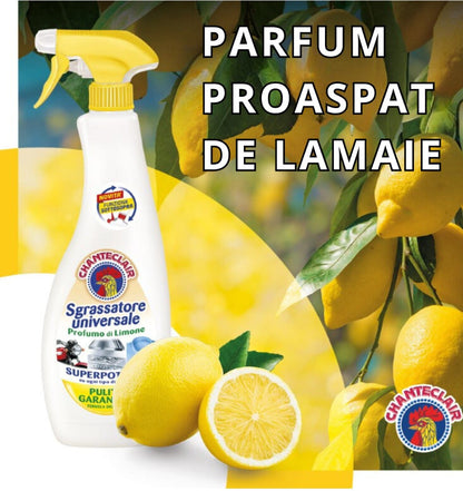 Degresant CHANTECLAIR 600-625ml Spray