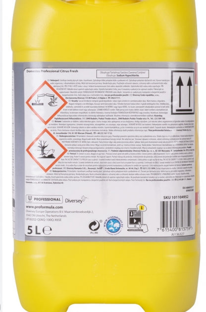 Domestos XXL Pack 5L